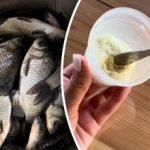 Ældre fiskere vil blive misundelige: Lifehacks om, hvordan man fanger
